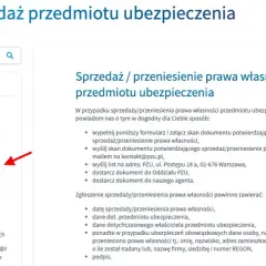 Jak sprawdzić ważność polisy OC w PZU? Krok po kroku, uniknij kar!