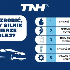 Co zrobić, gdy silnik bierze olej, ale nie kopci? Sprawdź wycieki, dym z wydechu, ciśnienie, świece i pokrywę rozrządu.