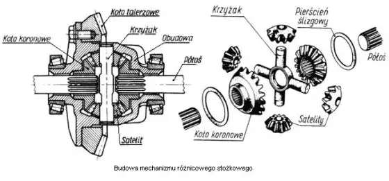 różne typy dyferencjałów schematy