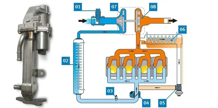chłodnica egr schemat budowy